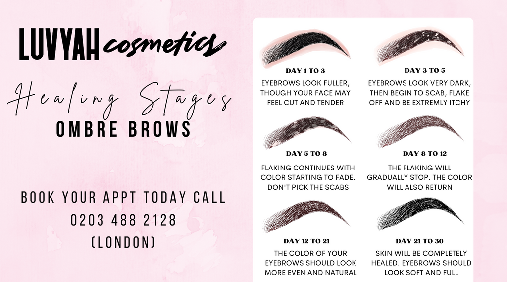 Ombre Brow (Powder Brow) Healing Stages